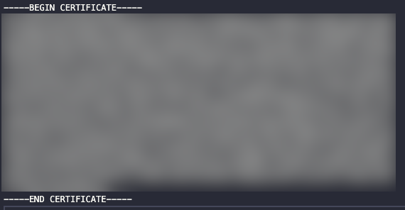 Screenshot of a certificate.