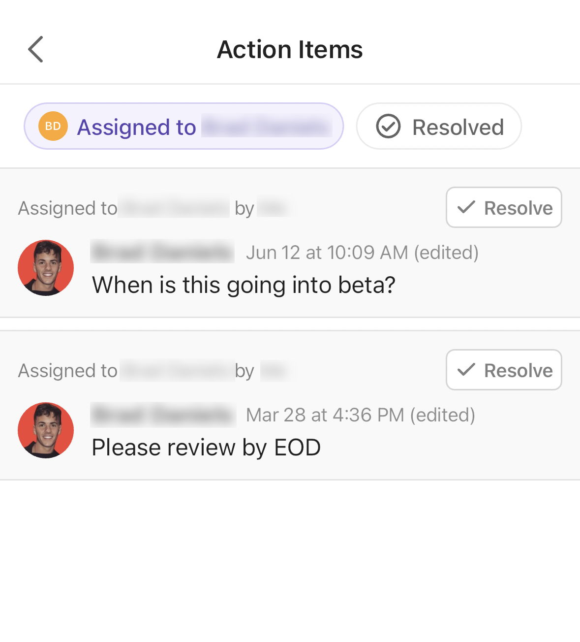 Screenshot of the Action Items tab.png