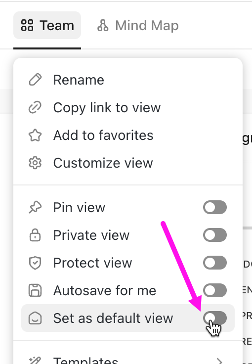 Screenshot della barra delle viste con la vista Team evidenziata e il cursore sull'interruttore Imposta come vista predefinita.png