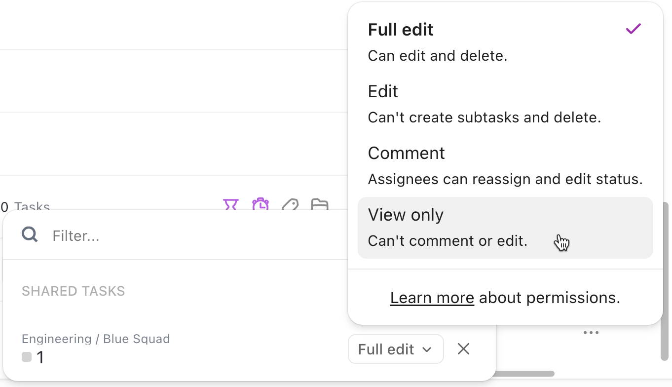 Screenshot della colonna Accesso che evidenzia l'opzione Sola visualizzazione nella finestra modale Condiviso.png