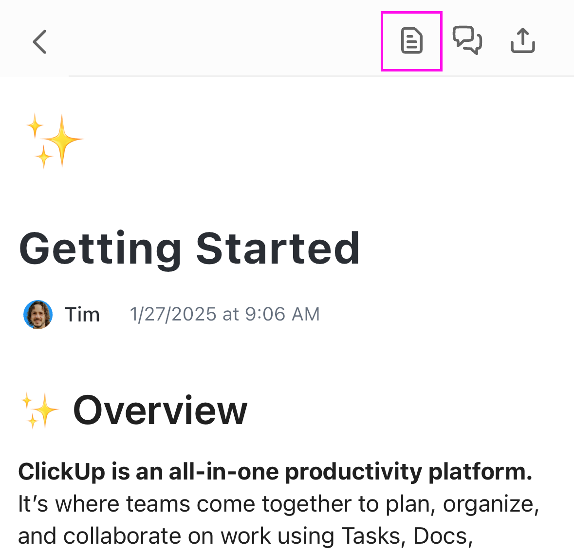 Screenshot highlighting the pages icon.png