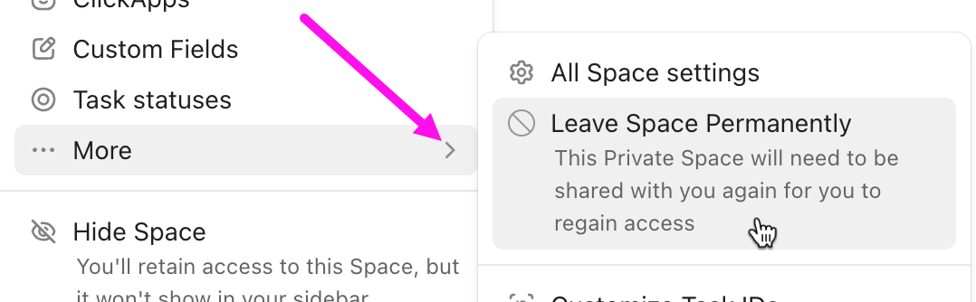 Screenshot des ausgewählten Mehr-Menüs und des Cursors auf der Option Space dauerhaft verlassen.png