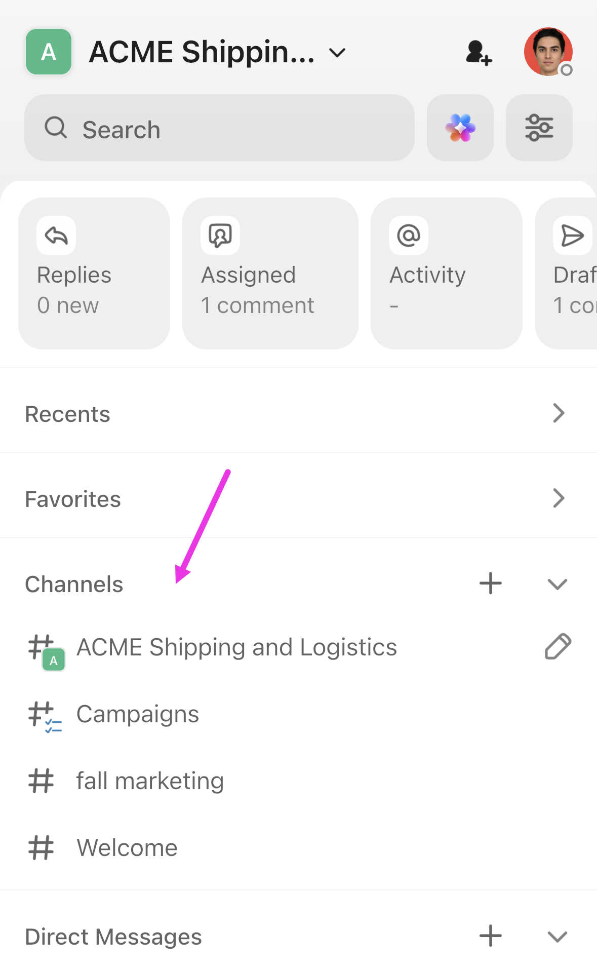 Screenshot highlighting the Channels section. .png
