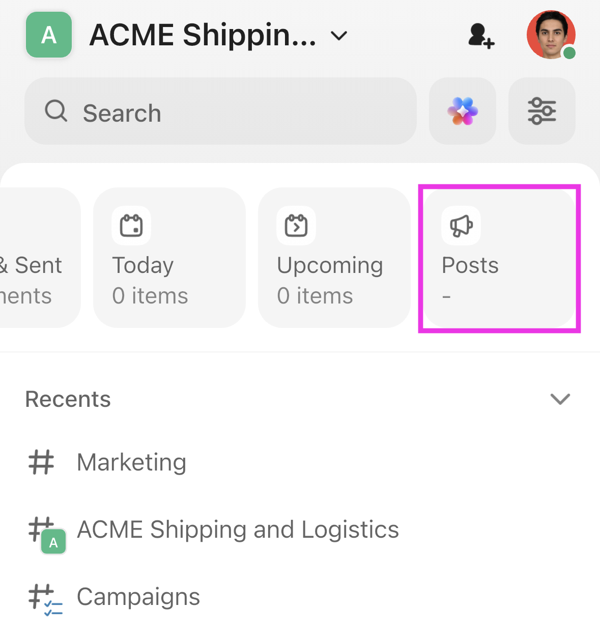 Screenshot highlighting the Posts page.png