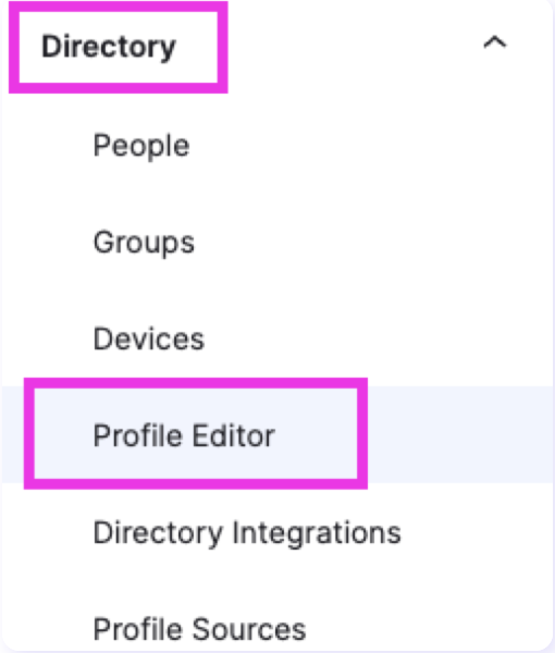 Screenshot highlighting the Profile Editor button.png