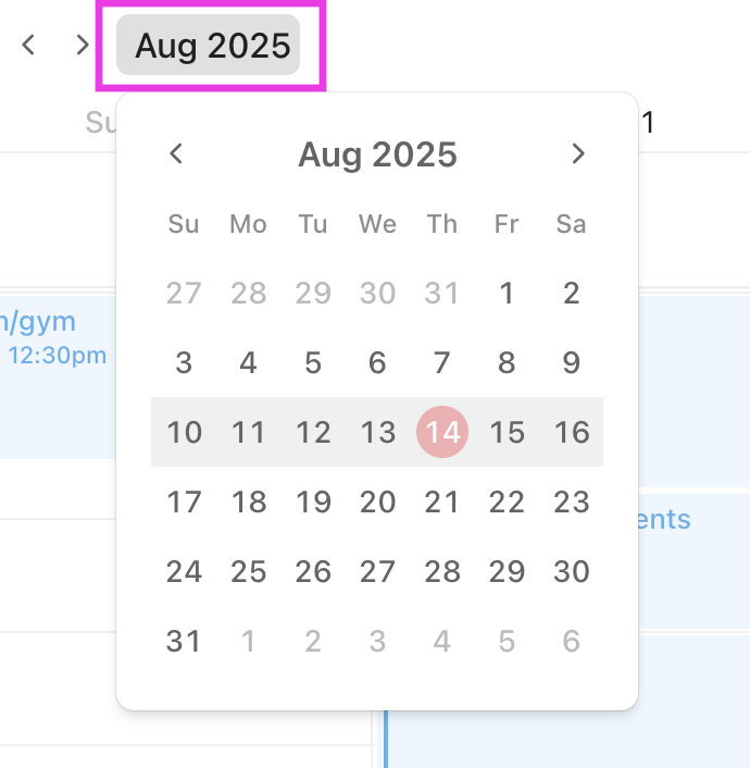 Screenshot del mese corrente nel Planner
