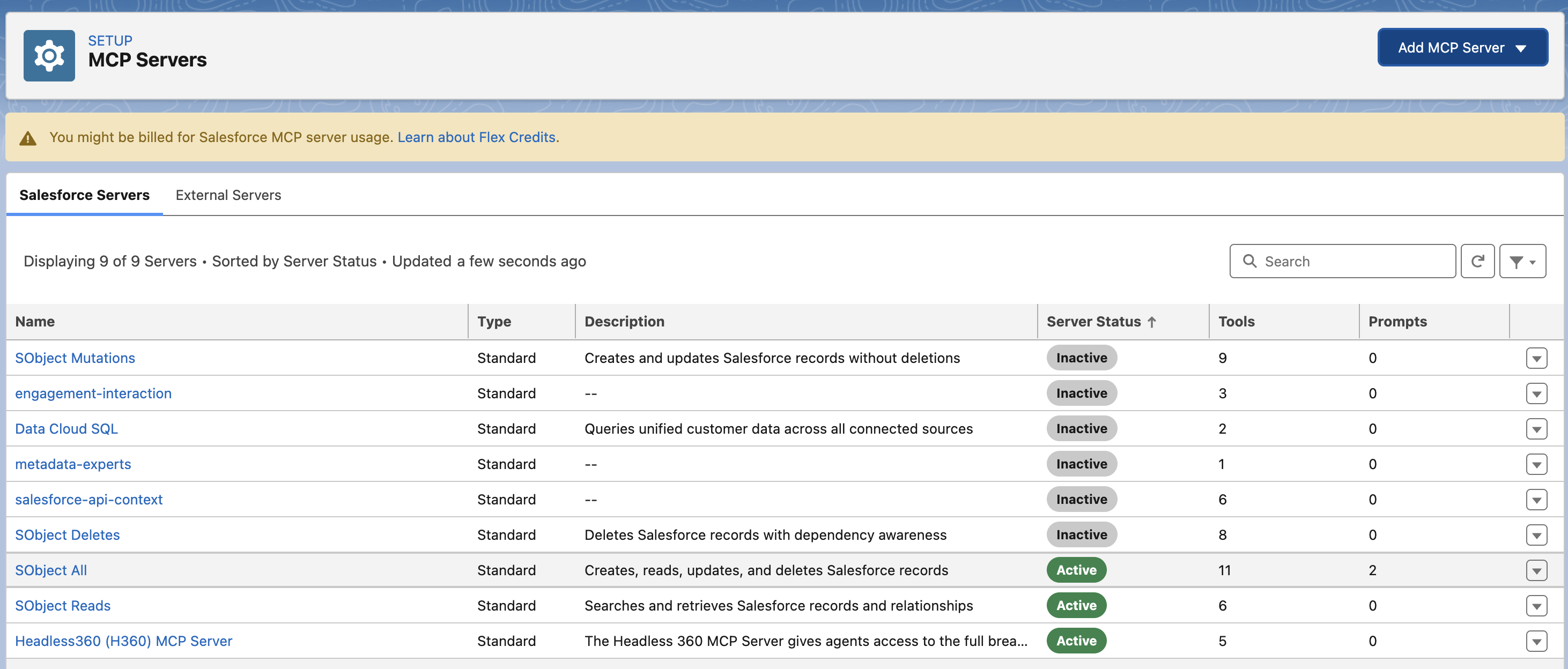 Screenshot der MCP-Server-Seite