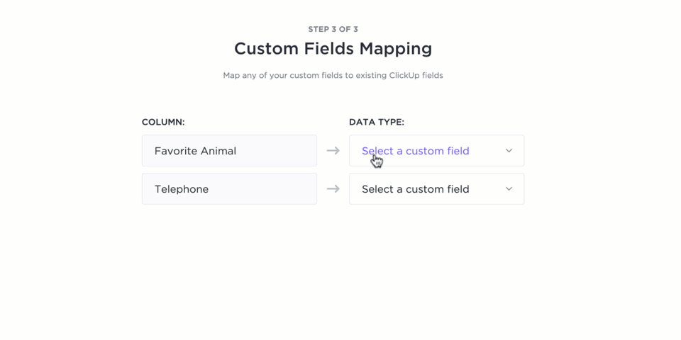 Animation showing the Custom Field Mapping step of the import process.