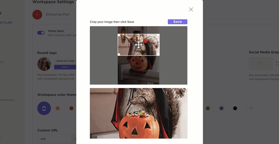 Gif showing custom social media graphic and url in ClickUp.