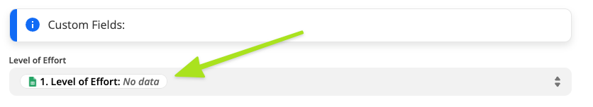 Someone setting up a Zap using Custom Fields.